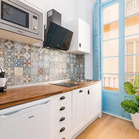Apartamento Homes Plaza De La Merced Málaga